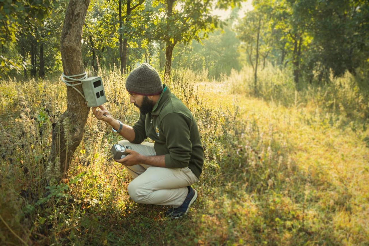 Отель Pench Jungle Camp Khawasa Экстерьер фото